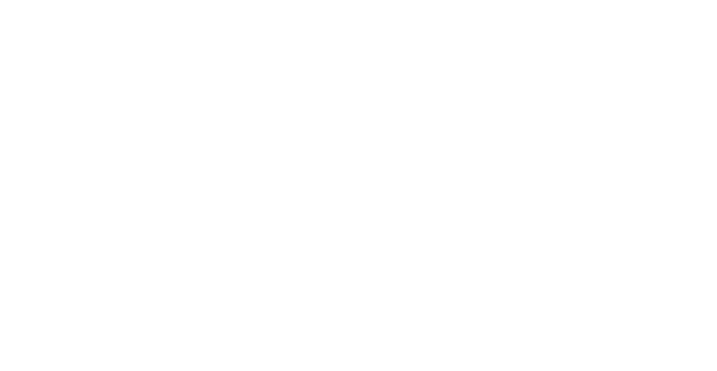 The Tint Shop